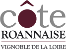 logo_cote_roannaise
